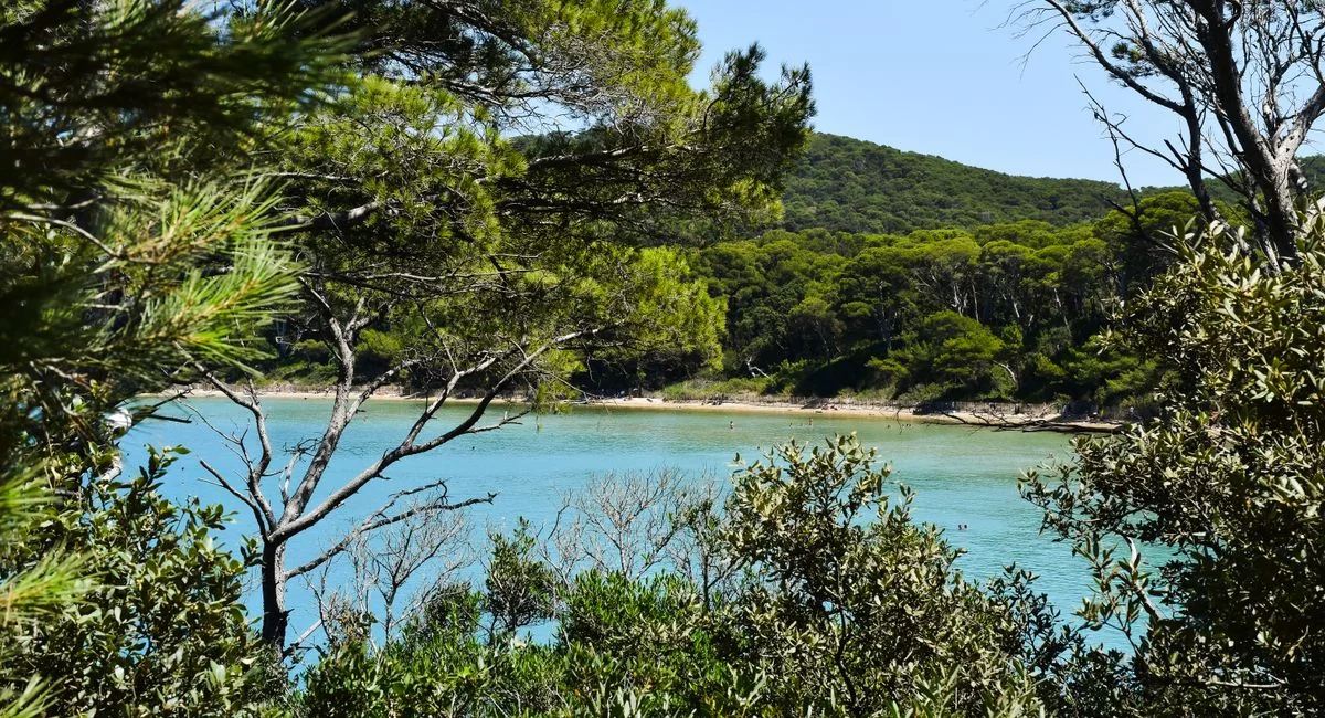 Peaceful coastal forest and turquoise waters in Hyères, South of France.